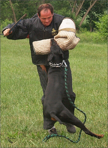 Cliff - training 6/2007